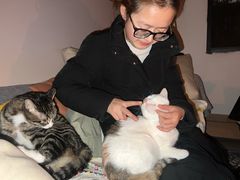 -汪喵宠物医院·骨科心脏影像·犬猫急重症ICU诊疗中心(成华分院)