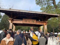 -庐山风景名胜区-东林大佛