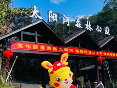 -普洱太阳河森林公园