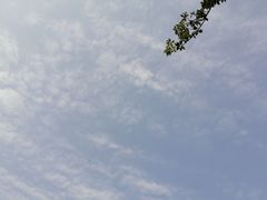 -洋湖国家湿地公园