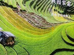 -湘邻呷铺·田园家宴(汉基广场店)