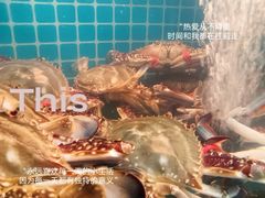 -蓝珊甄选海鲜自助·火锅大排档(近阿那亚店)