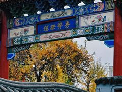 -碑林公园