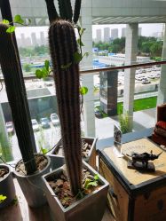 -THE BARN大屋理发馆