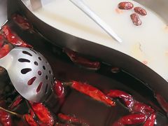 -麻田会 ·鲜活现烹·牛蛙火锅(珠江新城维家思广场店)