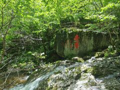 -青峰峡国家森林公园