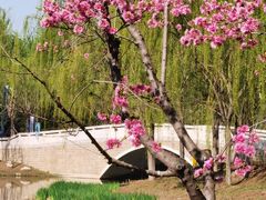 -东郊湿地公园