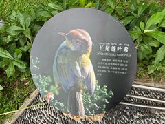 -东莞植物园