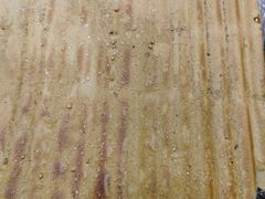 -勃利地摊·勃立小串烧烤