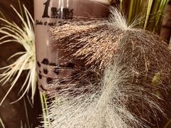 -1点点(香港名店街店)