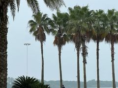 -柳湖沙月沙滩公园