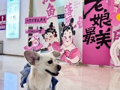 -福田卓悦INTOWN购物中心