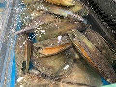 -盒马鲜生(皇庭广场店)