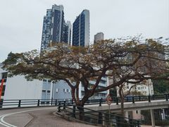-香港大学