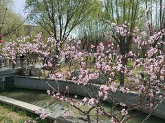 -南开大学(津南校区)