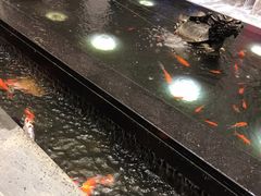 -弘安丽水温泉酒店