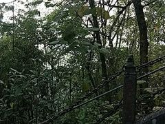 -腾冲云峰山