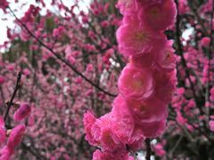 -成都杜甫草堂博物馆