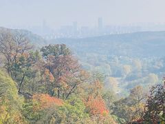 -南京老山国家森林公园