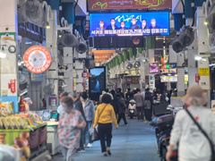 -西归浦每天偶来市场