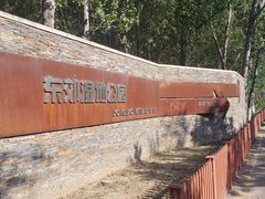 -东郊湿地公园