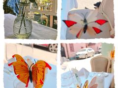 -蝶舍·MAISON PAPILLON