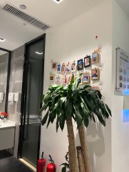 -妈妈时光机医疗产后修复(南山茂业百货店)