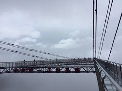 -WFC会仙楼观景台