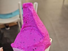 -野人先生Gelato(上海长宁龙之梦店)
