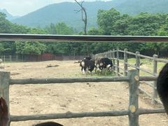 -西安秦岭野生动物园