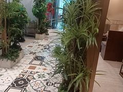-四季合味椰子鸡(南山大冲店)