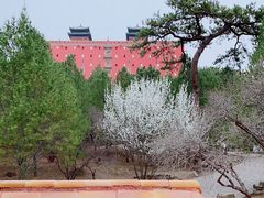 -普陀宗乘之庙