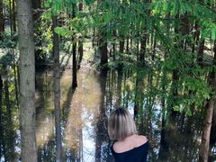 -桤木河湿地公园