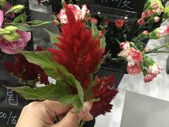 -Butchart布查德鲜花(花艺设计中心)
