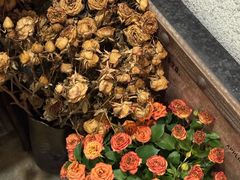 -绿房子方寸咖啡(星海名城店)