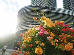 -广州市白云区图书馆