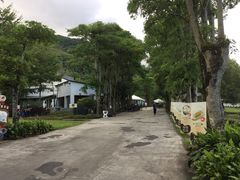 -瑞穗牧场