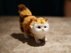 -黄晓猫剁椒大鱼头(海岸城店)