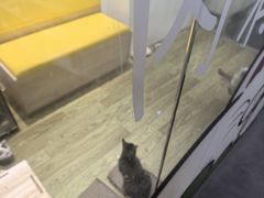 -废柴猫概念馆·桌游电玩卡牌(人广世茂店)