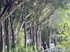 -金鸡山公园