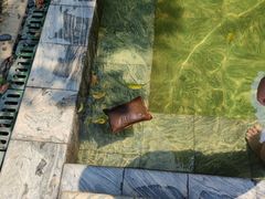 -英德宝晶宫天鹅湖茶语温泉