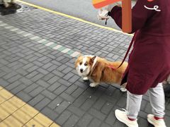 -苔圣园酒家(尊木汇国际艺术广场店)