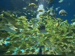 -海合安武汉极地海洋公园