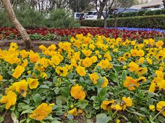 -元大都城垣遗址公园