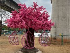 -麦园农庄·西江河鲜