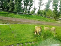 -北京野生动物园