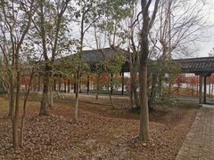 -上海海湾国家森林公园