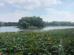 -上海市保健医疗中心