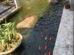 -阳春市花园酒店
