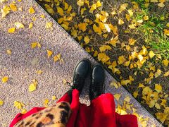 -汉长安城未央宫国家考古遗址公园